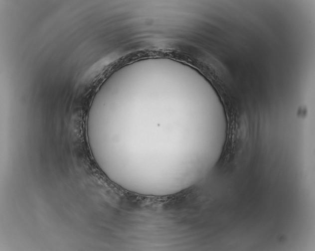 X0000111910773200908241026