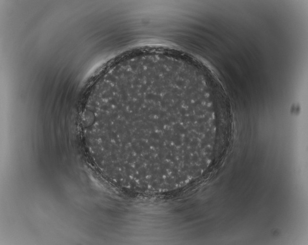 X0000111910775200908241026