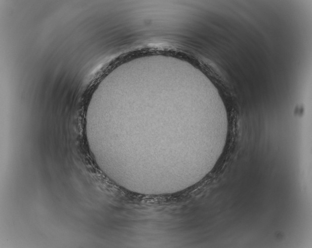 X0000111910776200908241026
