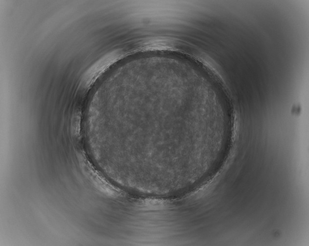 X0000111910777200908241026