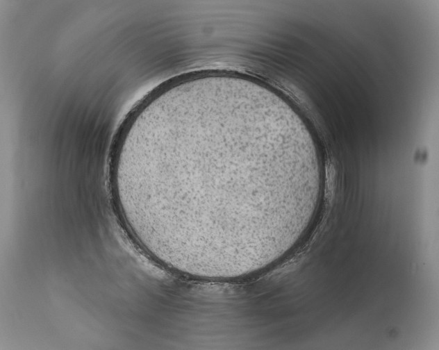 X0000111910780200908241025