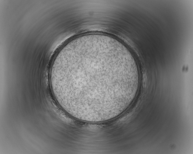 X0000111910782200908241025