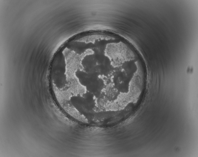 X0000111910783200908241025