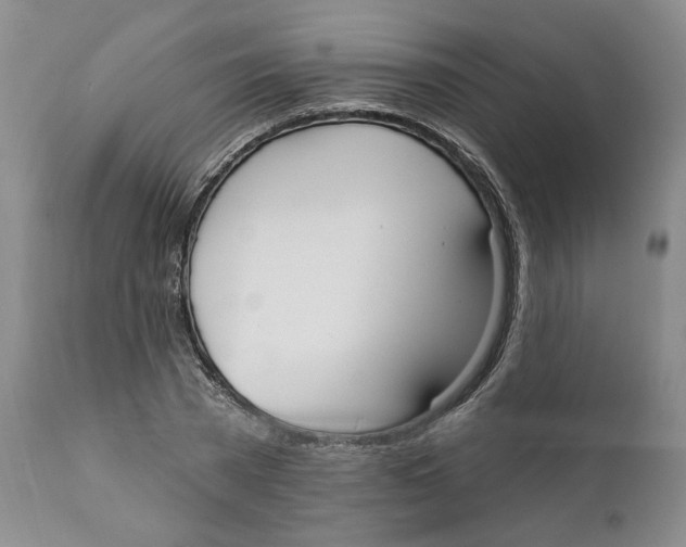 X0000111910785200908241025