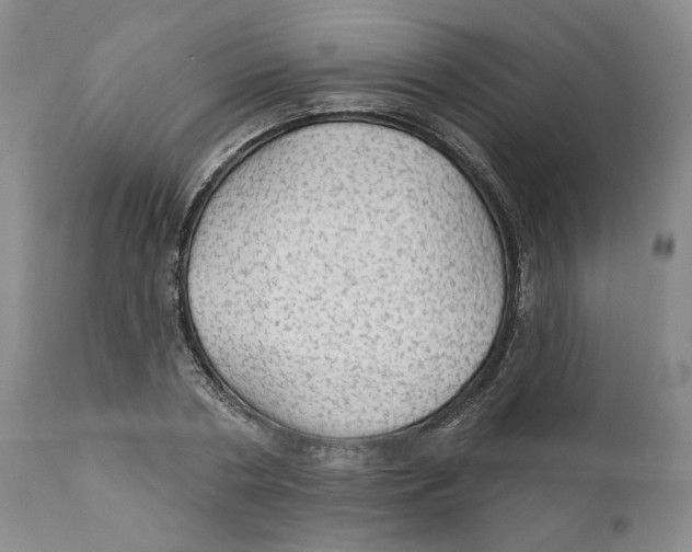 X0000111910786200908241025