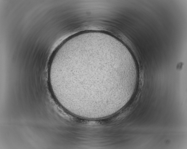 X0000111910787200908241025