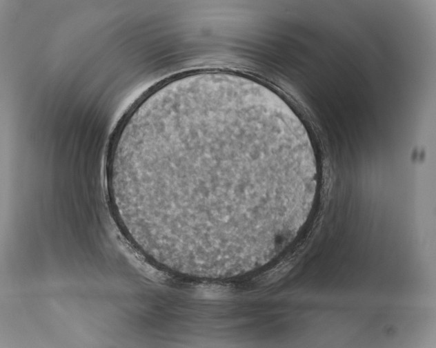 X0000111910788200908241025