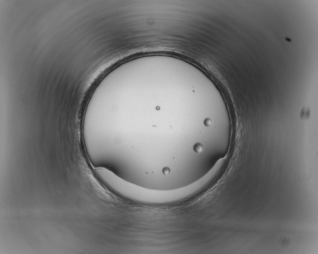 X0000111910789200908241025