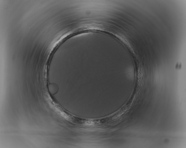 X0000111910790200908241025