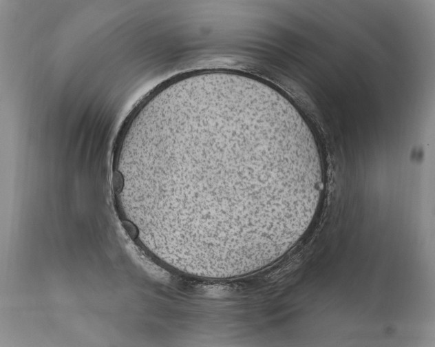 X0000111910792200908241025
