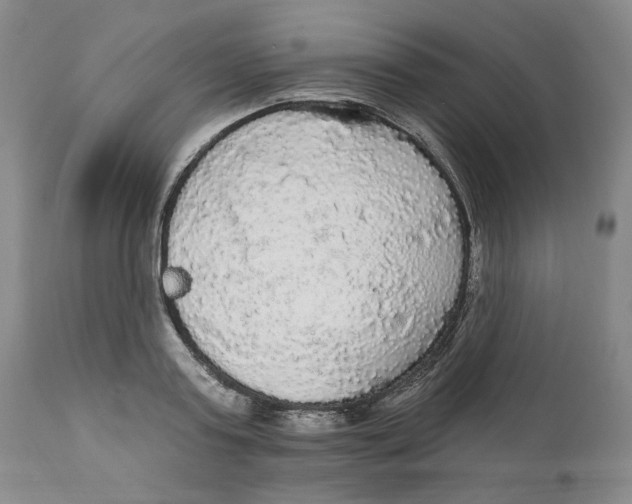 X0000111910795200908241025