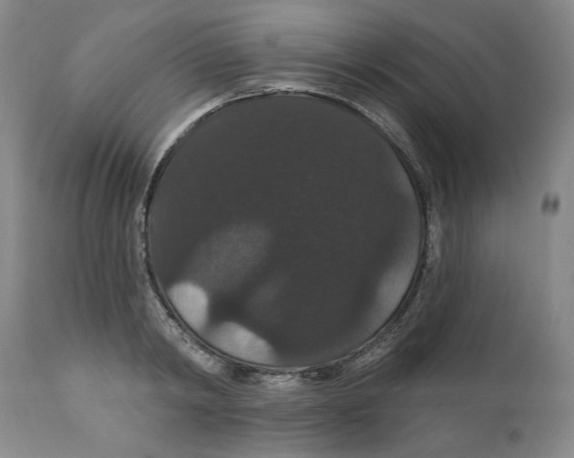 X0000111910798200908241025