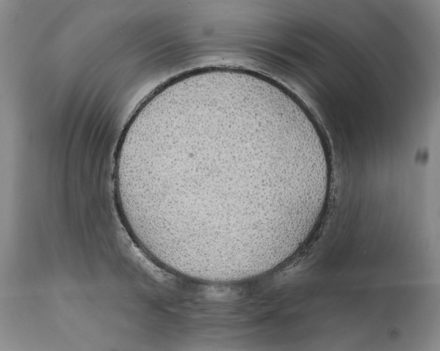 X0000111910799200908241025