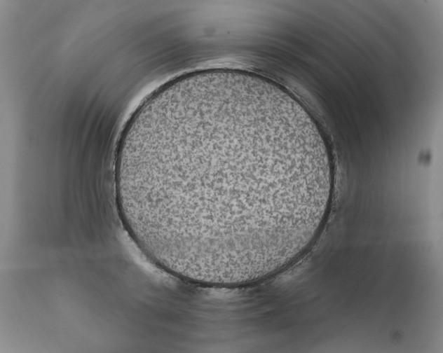 X0000111910800200908241025
