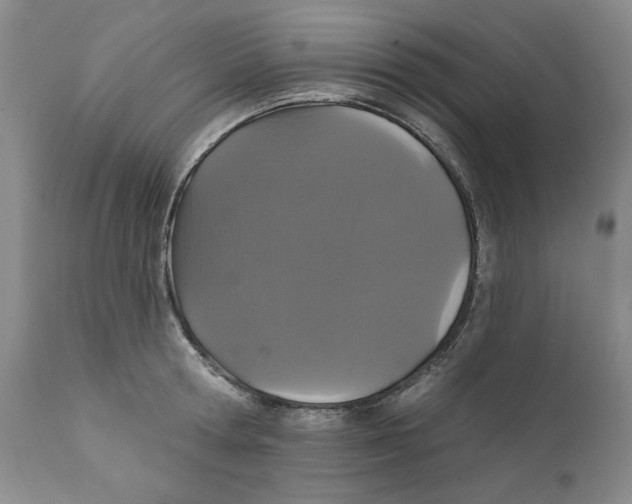 X0000111910802200908241025