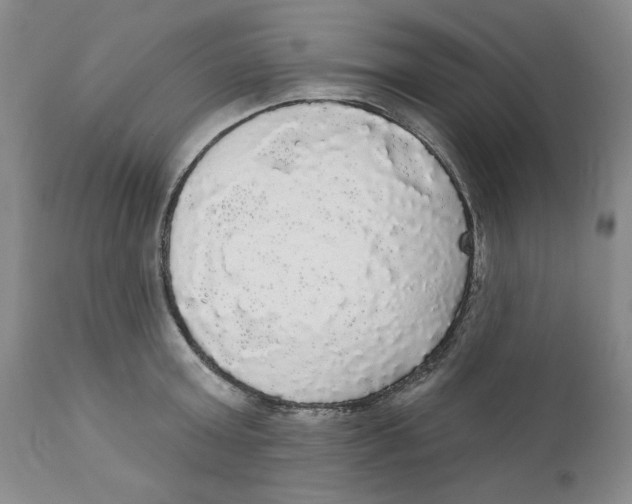 X0000111910803200908241025