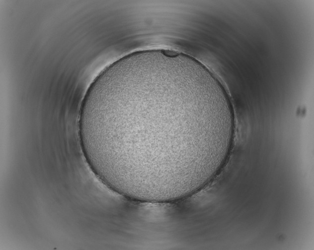 X0000111910805200908241025