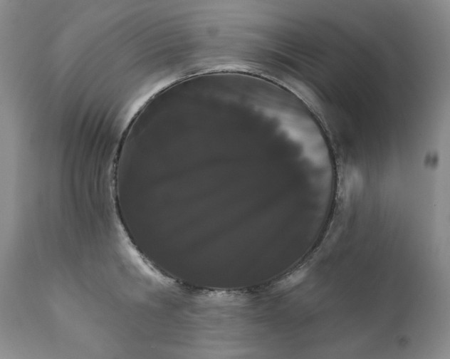 X0000111910806200908241025