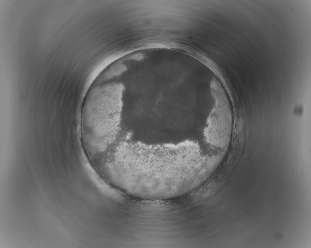 X0000111910811200908241025