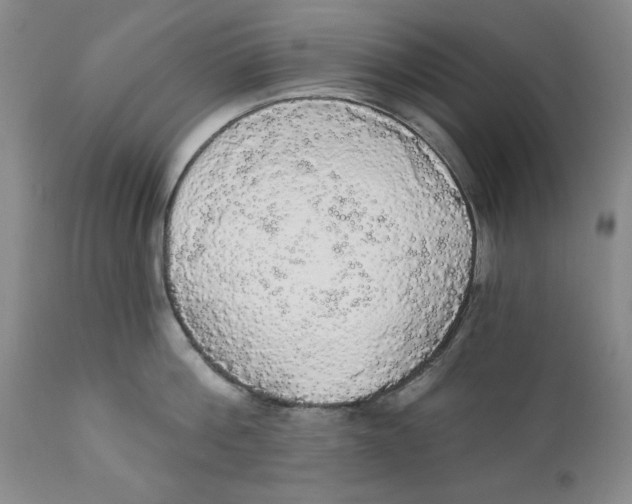 X0000111910812200908241025