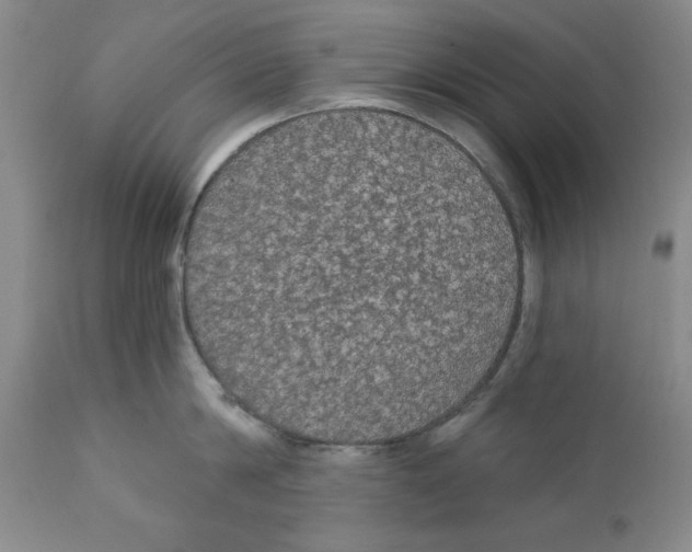 X0000111910814200908241025