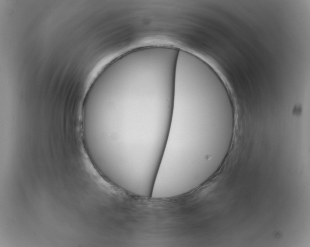 X0000111910815200908241025