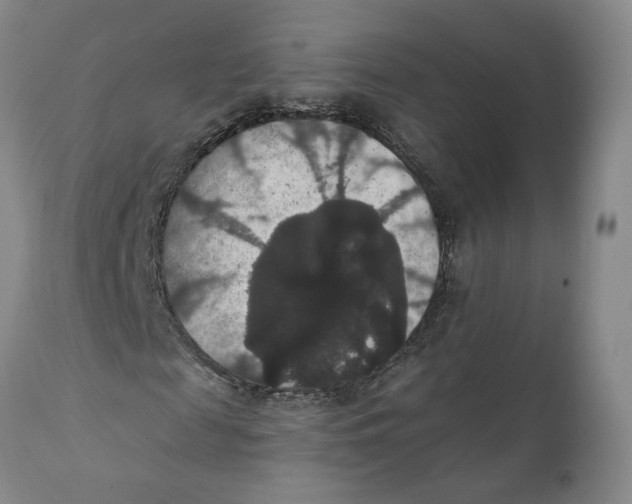 X0000111910817200908241024