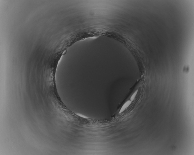 X0000111910818200908241024
