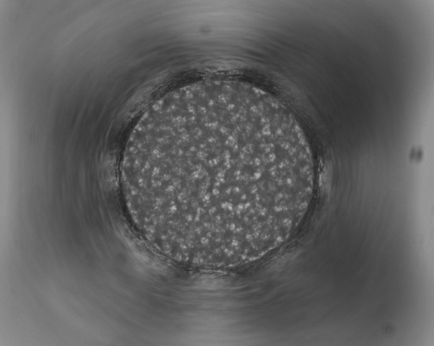 X0000111910819200908241024