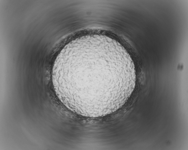 X0000111910821200908241024