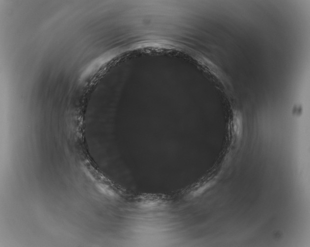 X0000111910822200908241024