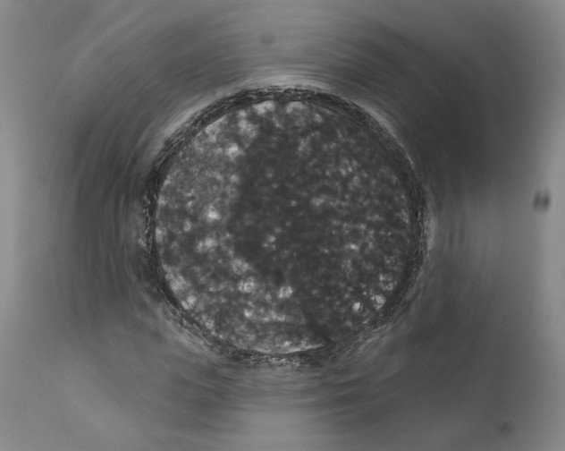 X0000111910823200908241024