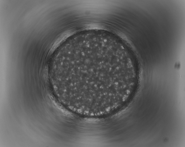 X0000111910825200908241024