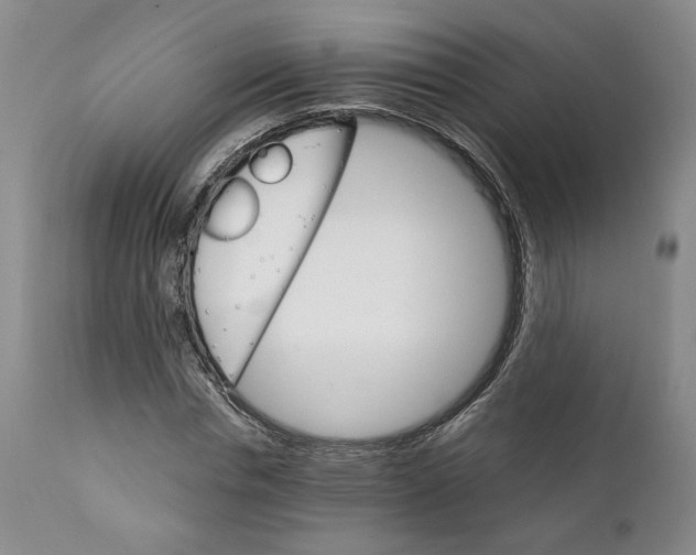X0000111910826200908241024