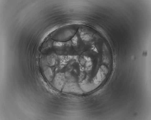 X0000111910827200908241024