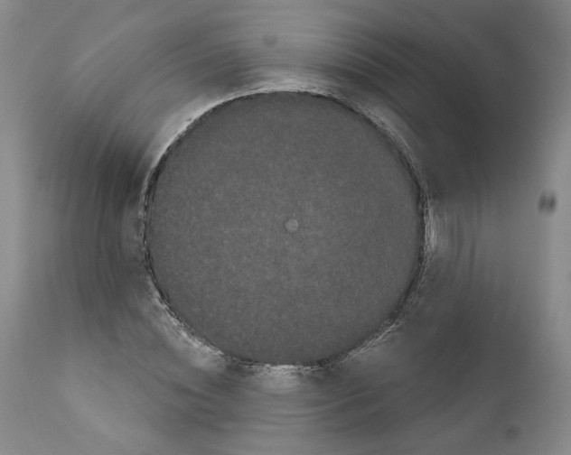 X0000111910828200908241024