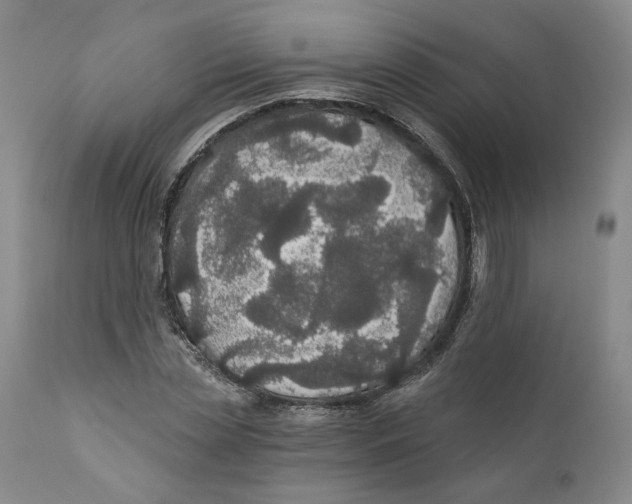 X0000111910829200908241024