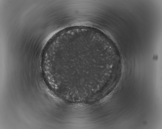X0000111910830200908241024