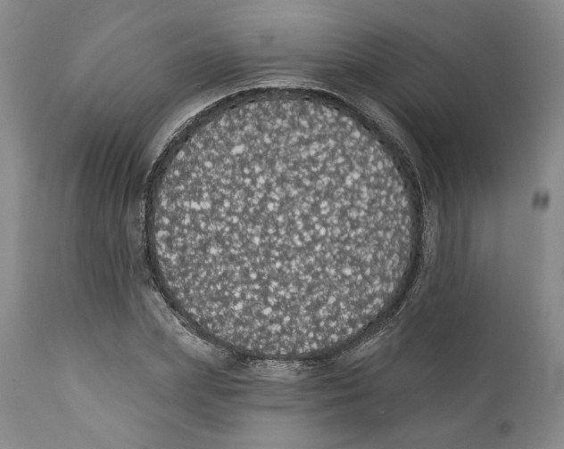 X0000111910831200908241024