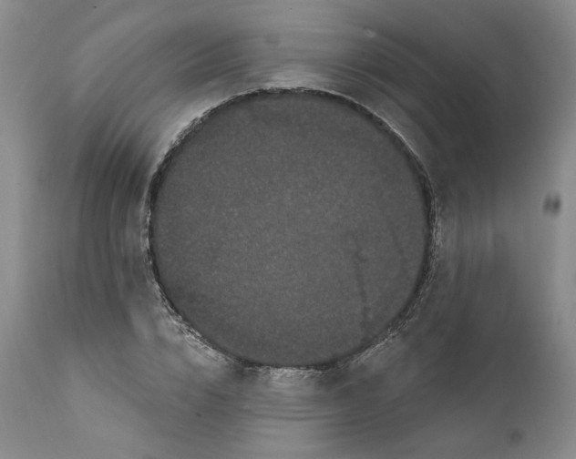 X0000111910832200908241025