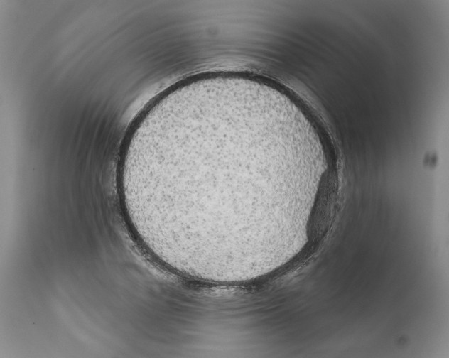 X0000111910834200908241025