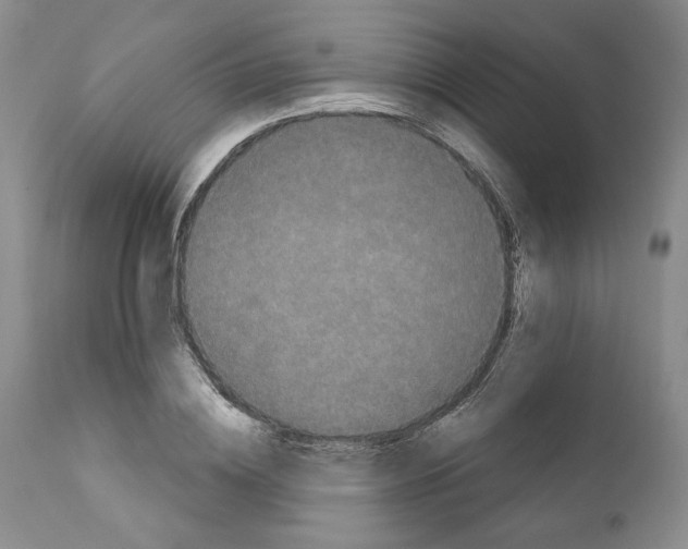 X0000111910836200908241025