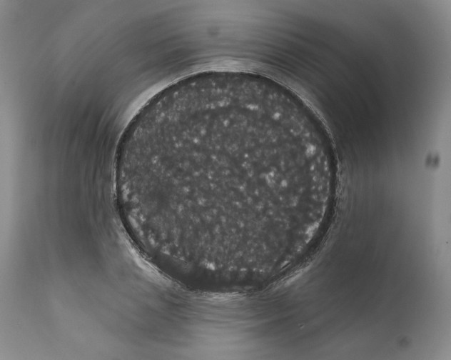 X0000111910837200908241025