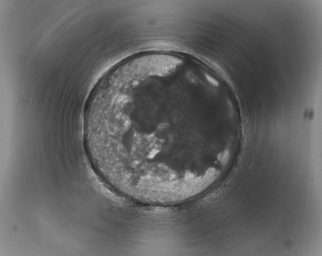 X0000111910839200908241025