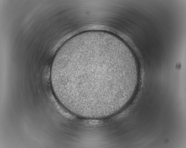 X0000111910841200908241025
