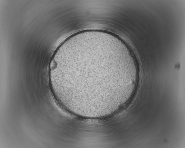 X0000111910842200908241025