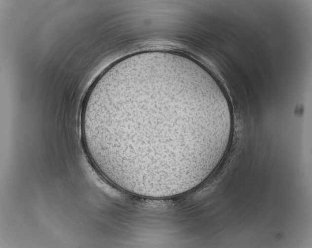 X0000111910843200908241025