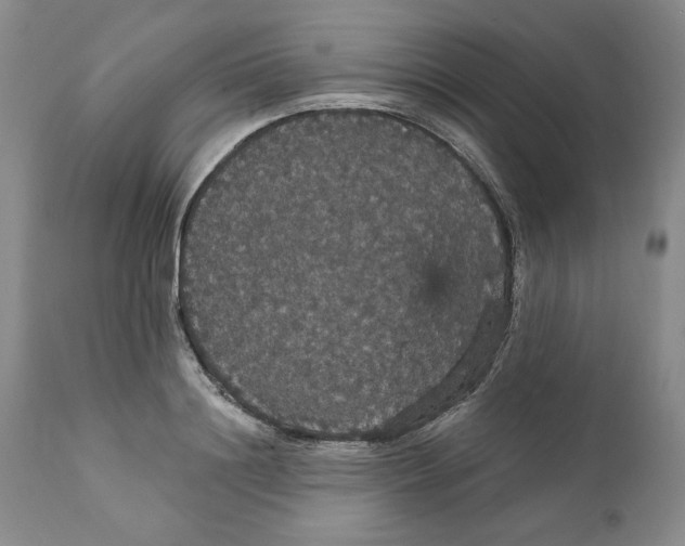 X0000111910844200908241025
