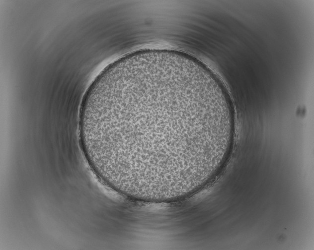 X0000111910845200908241025