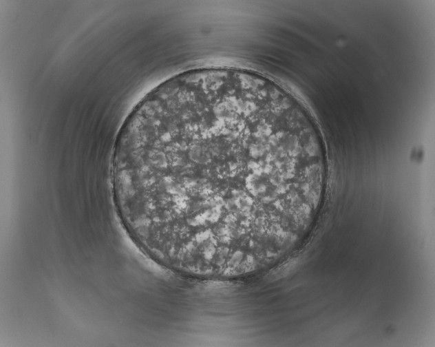 X0000111910847200908241025